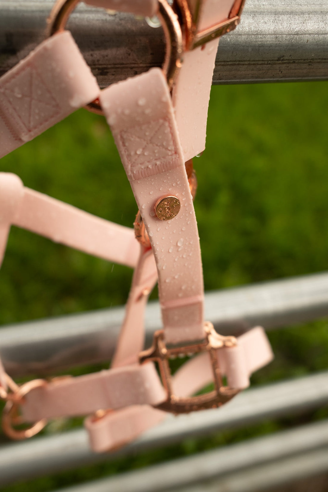 PVC-Coated Webbing vs Nylon Horse Halters: What’s the Difference?