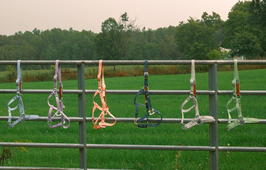 Waterproof Horse Halters: What Are They & Are They Worth It?